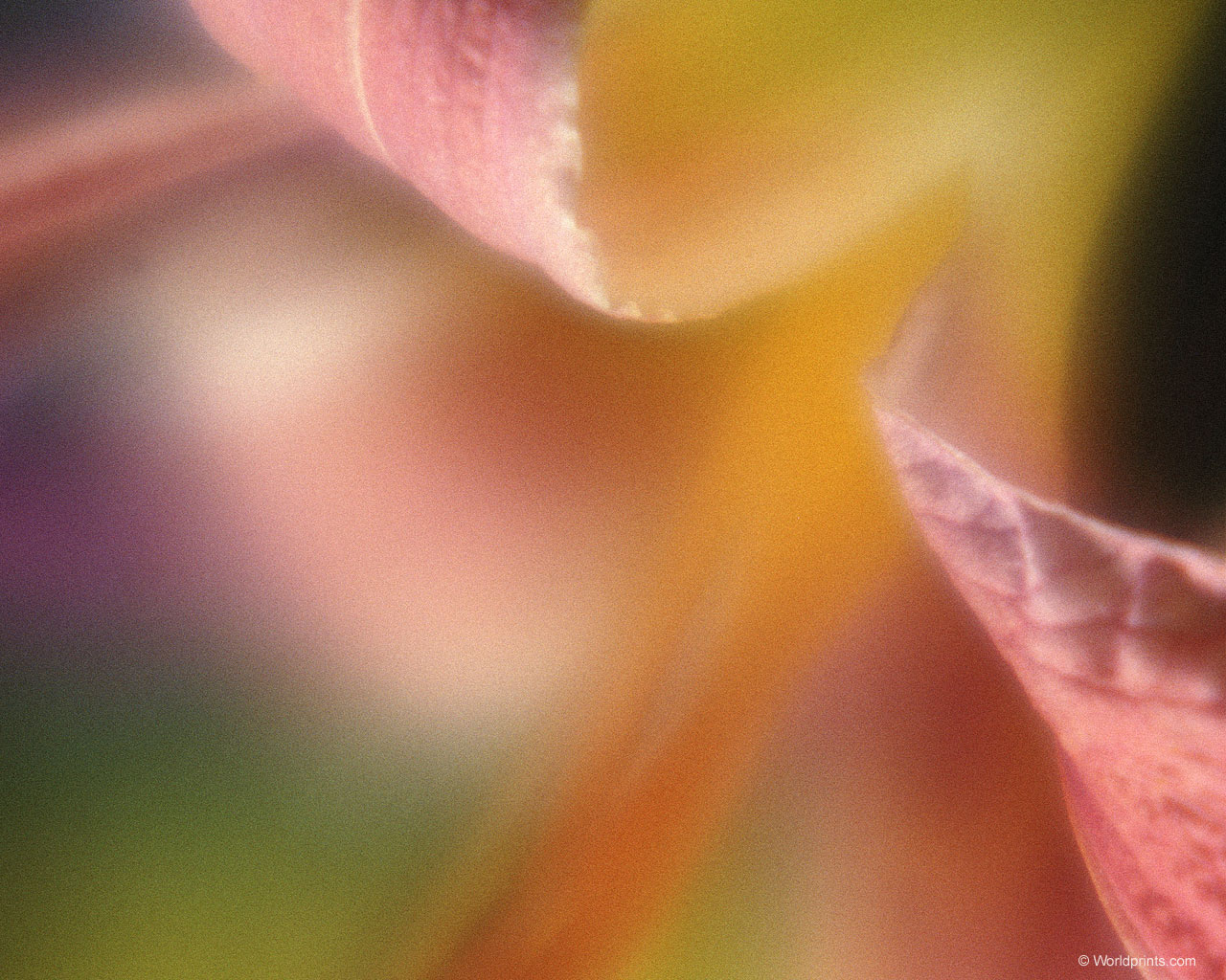 Готовимся к 8 марта