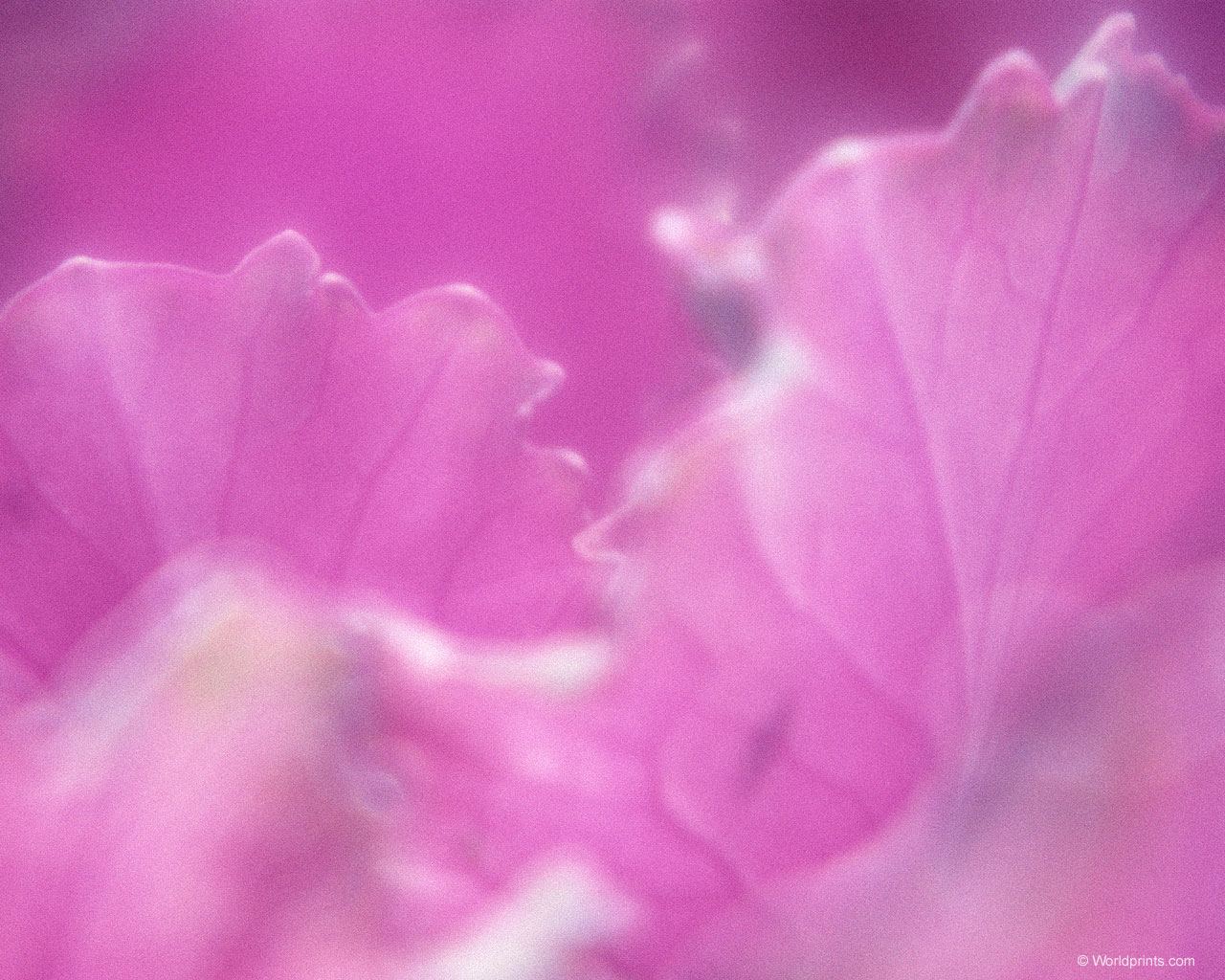 Готовимся к 8 марта