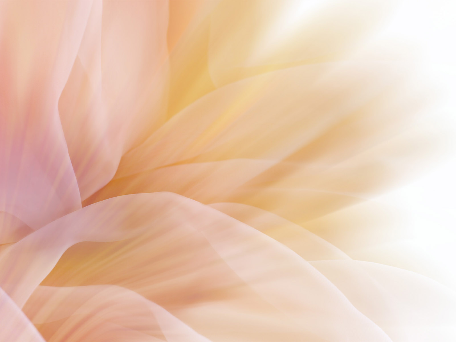 Симпатичные абстракции