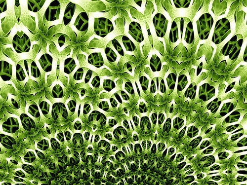 Всякие разные обои