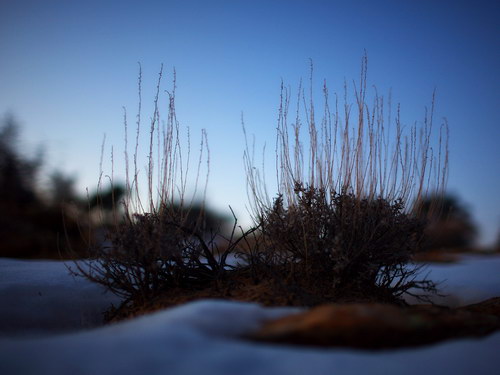 Всякие разные обои