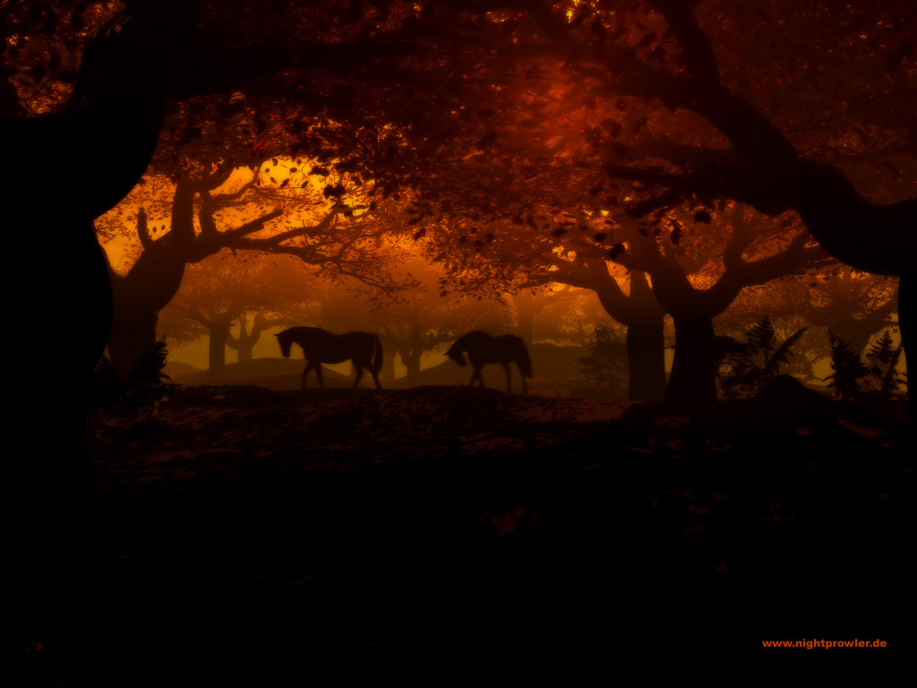 Всякие разные обои