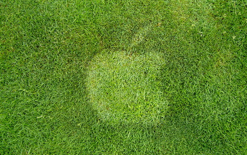 выдавленная на газоне картинка apple