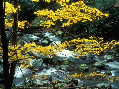 Цвета осени