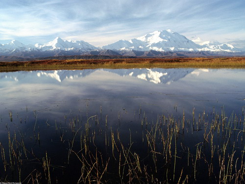 Цвета осени