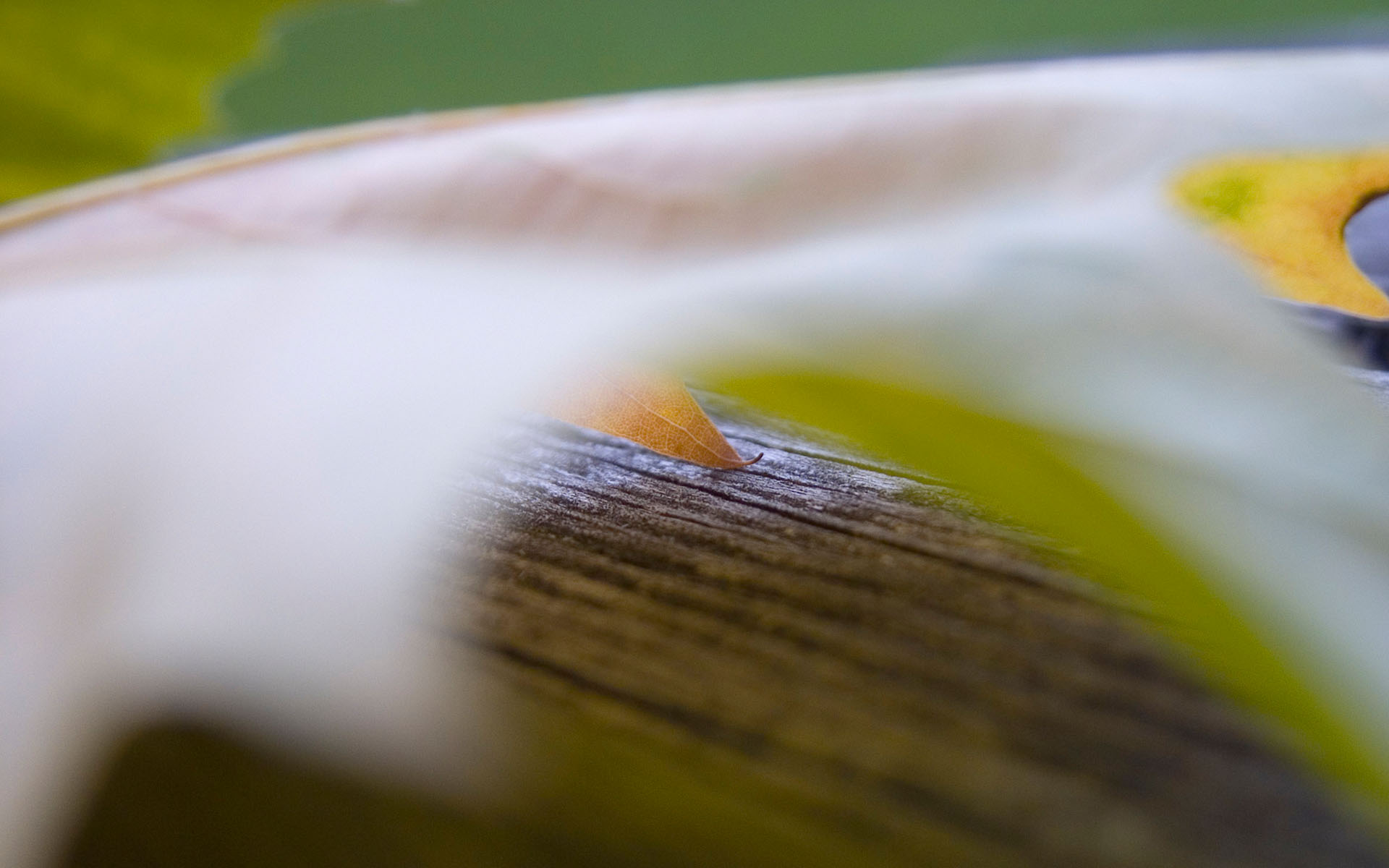 Осенние обои