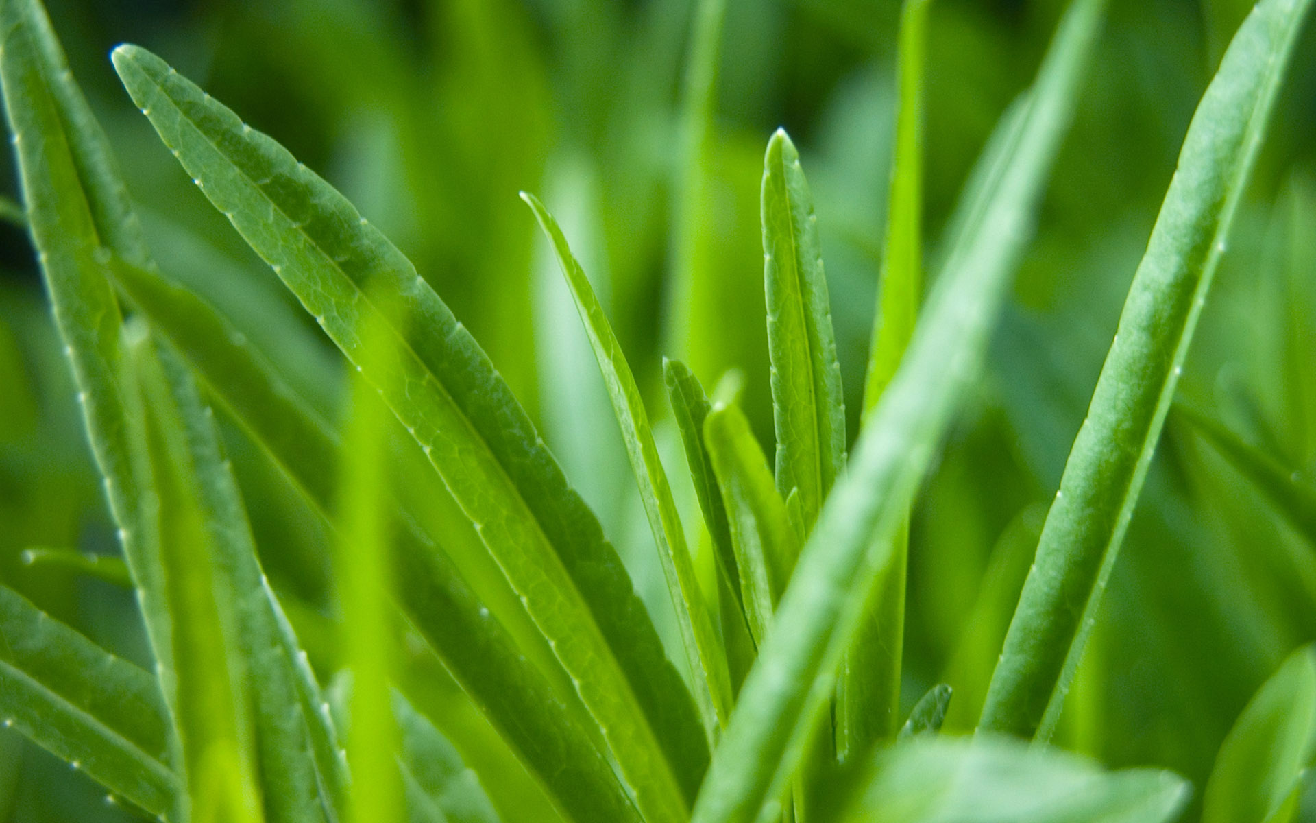 Осенние обои