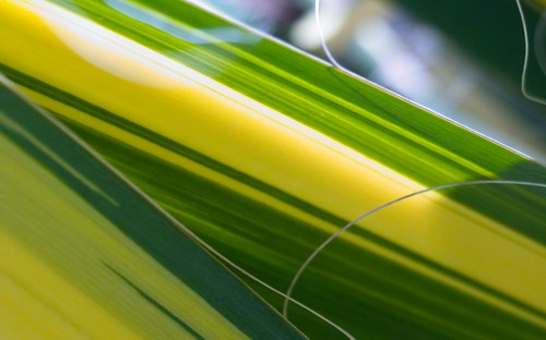 Осенние обои