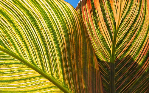 Осенние обои