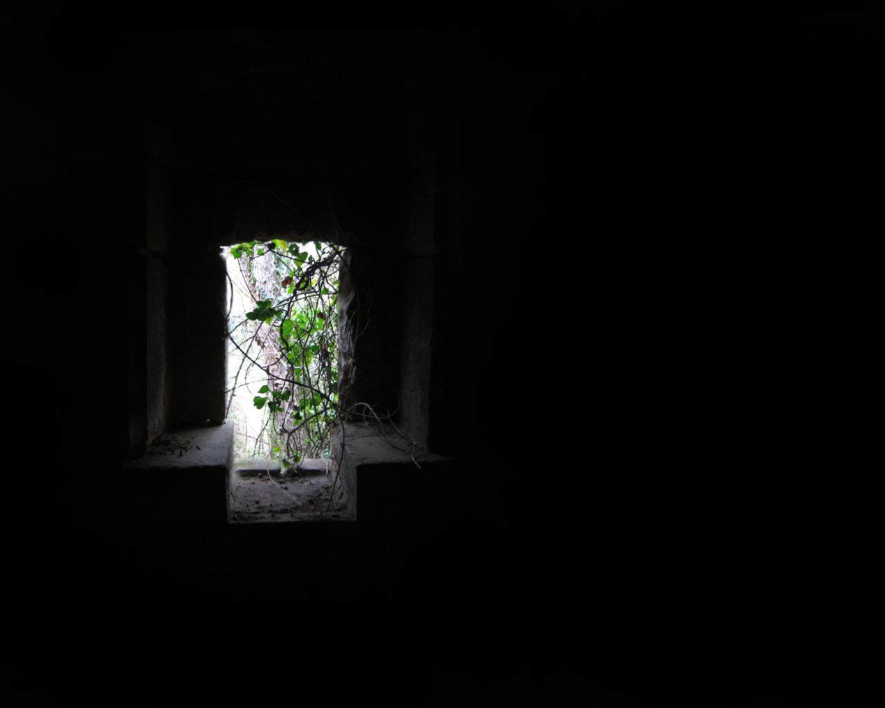 Черный цвет