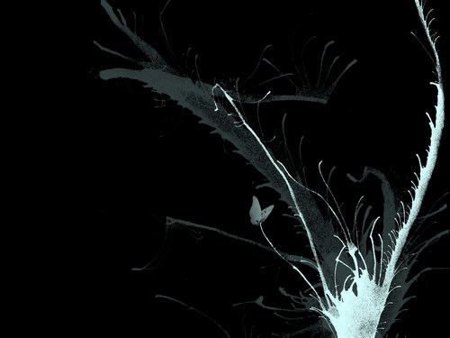 Черный цвет