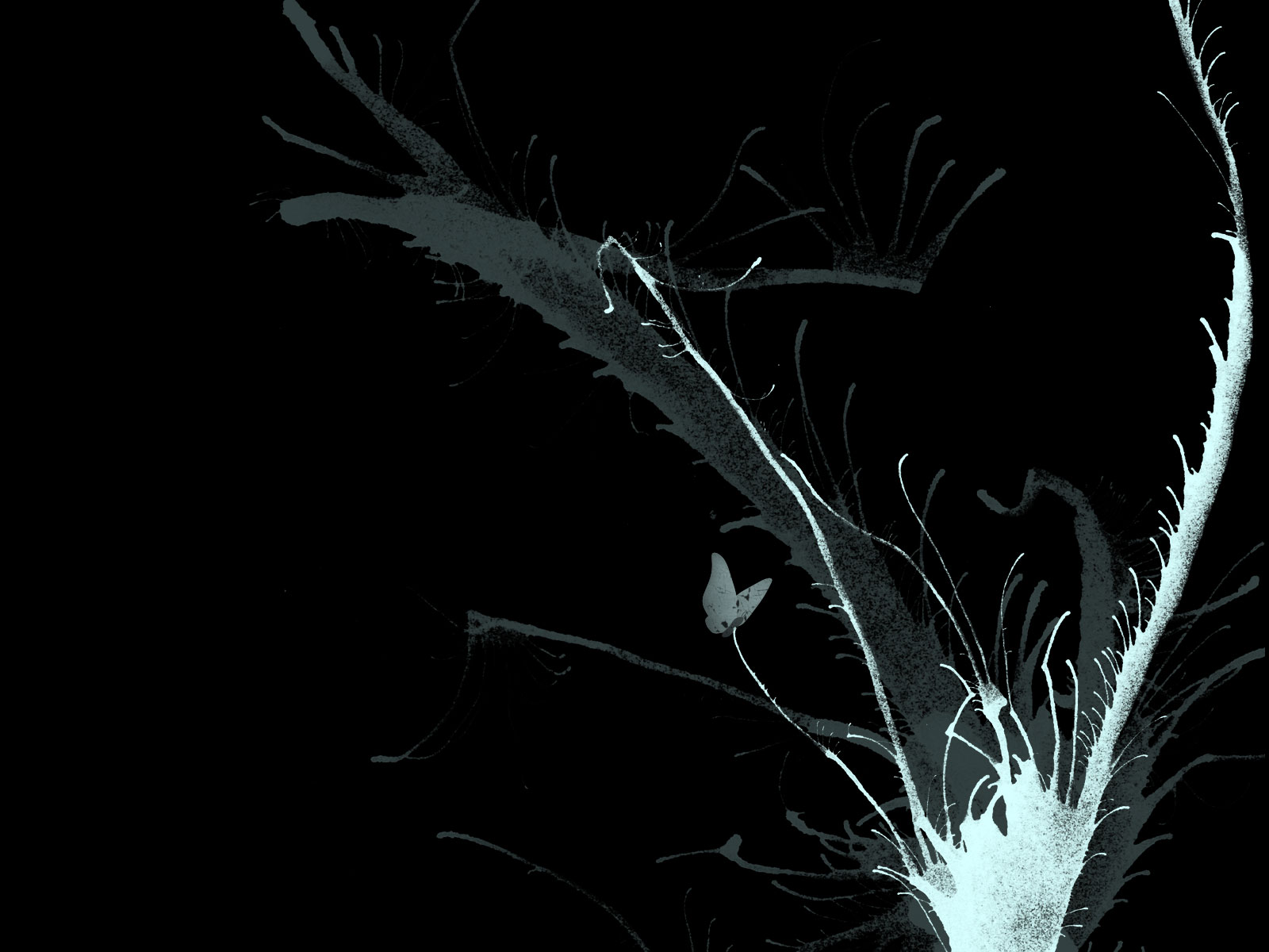 Черный цвет