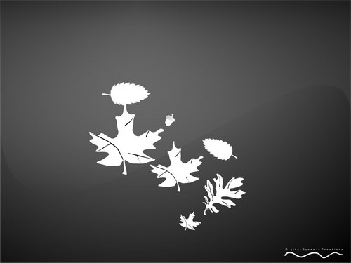 Черный цвет