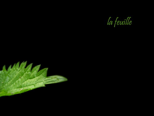 Черный цвет