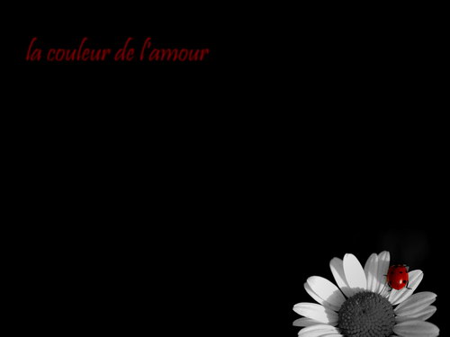 Черный цвет