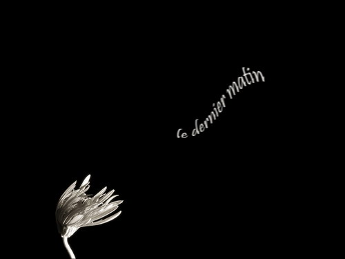 Черный цвет