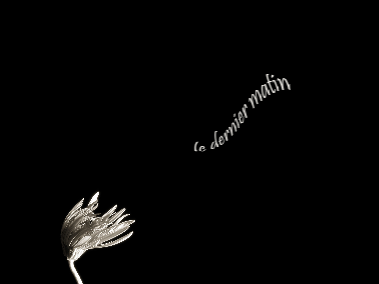 Черный цвет