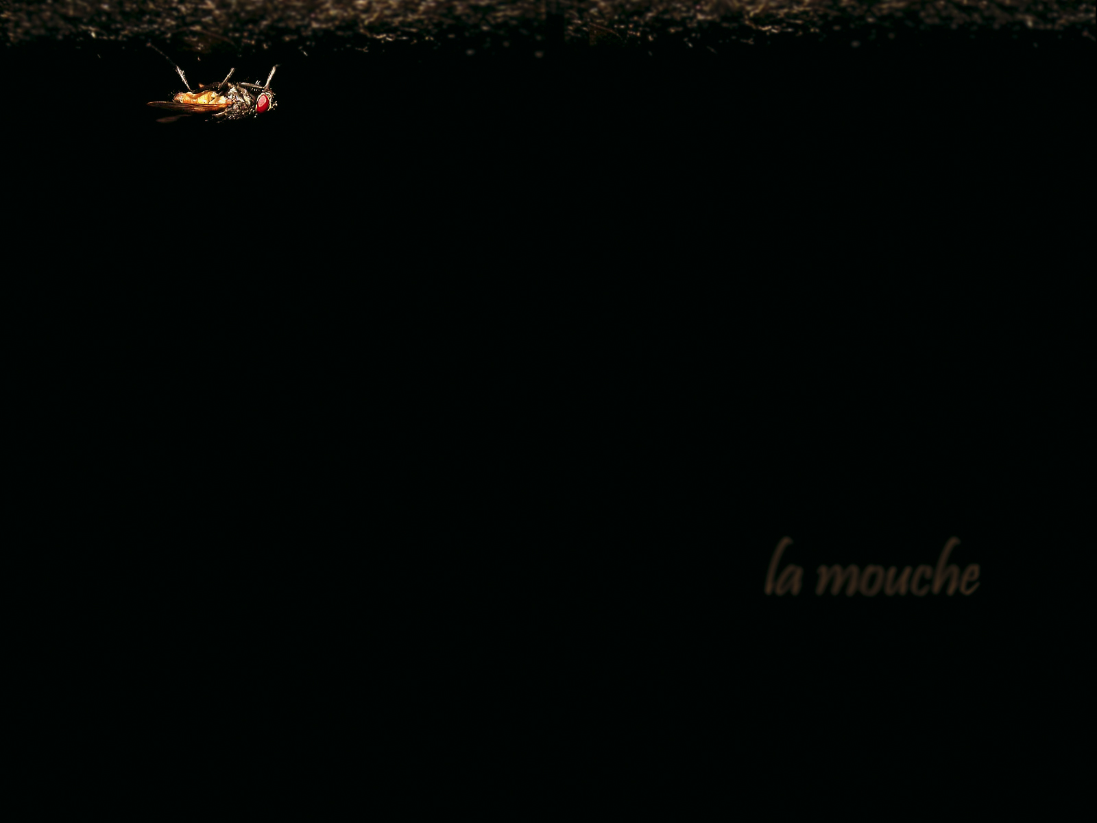 Черный цвет