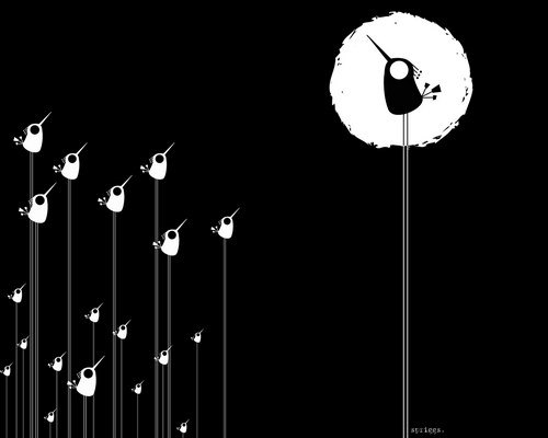 Черный цвет