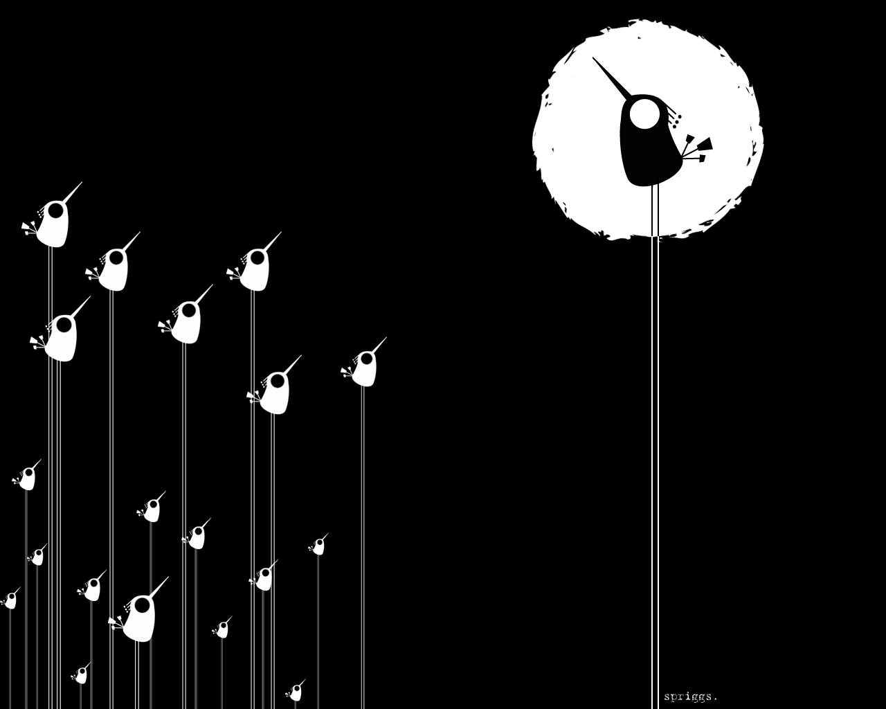 Черный цвет