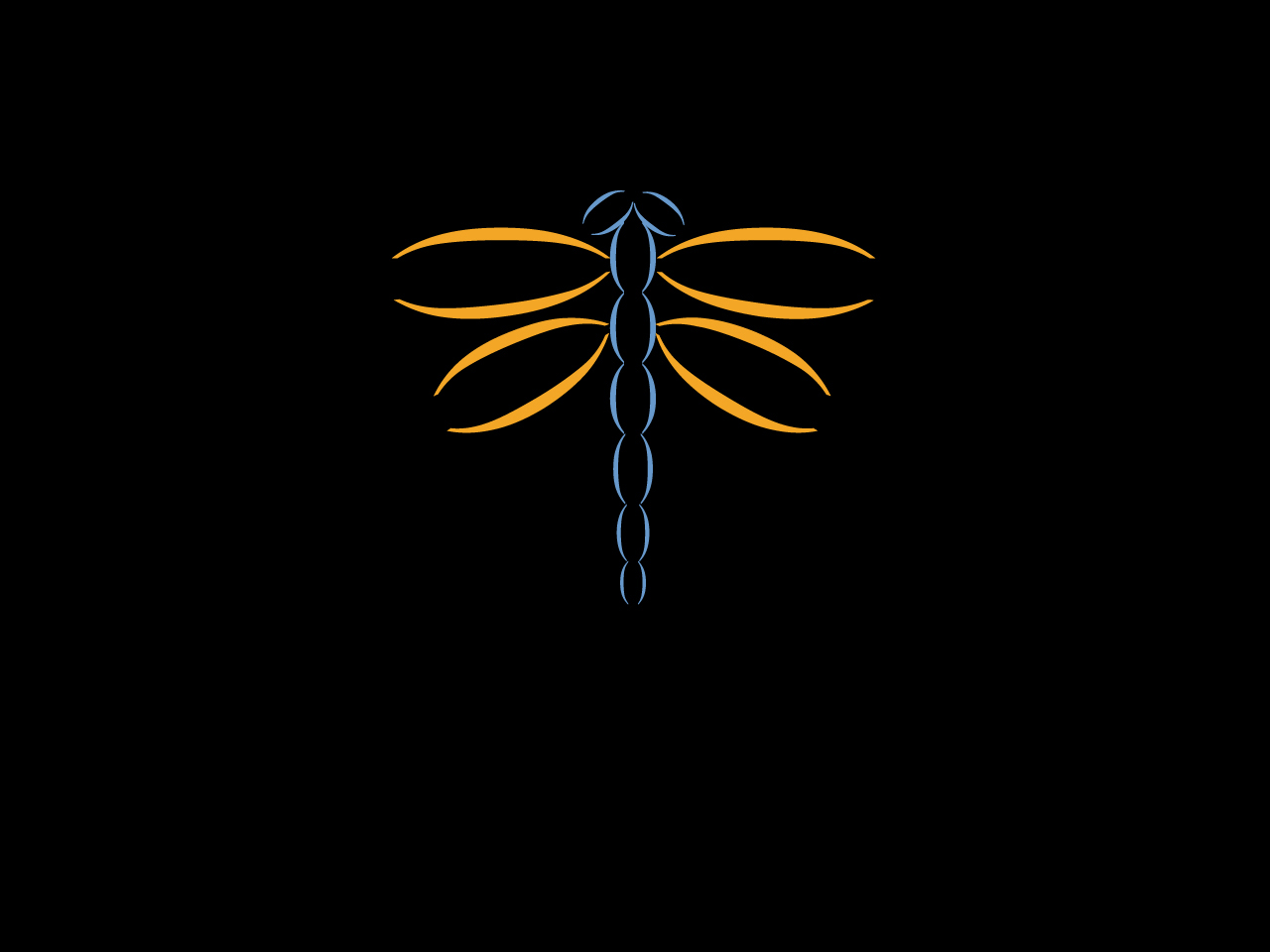 Черный цвет