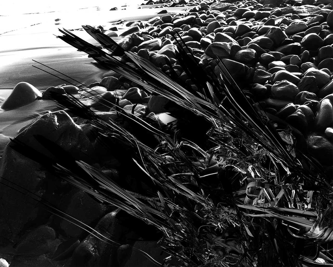 Черный цвет