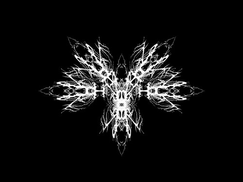 Черный цвет