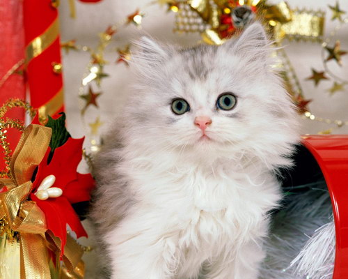 Рождественские и новогодние обои