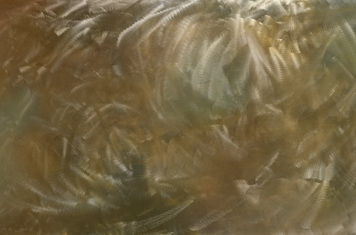 Обои маслом