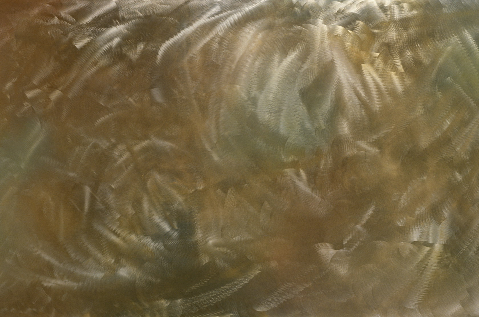 Обои маслом