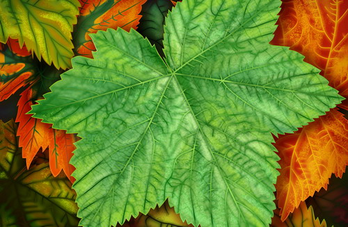 Рисованные обои