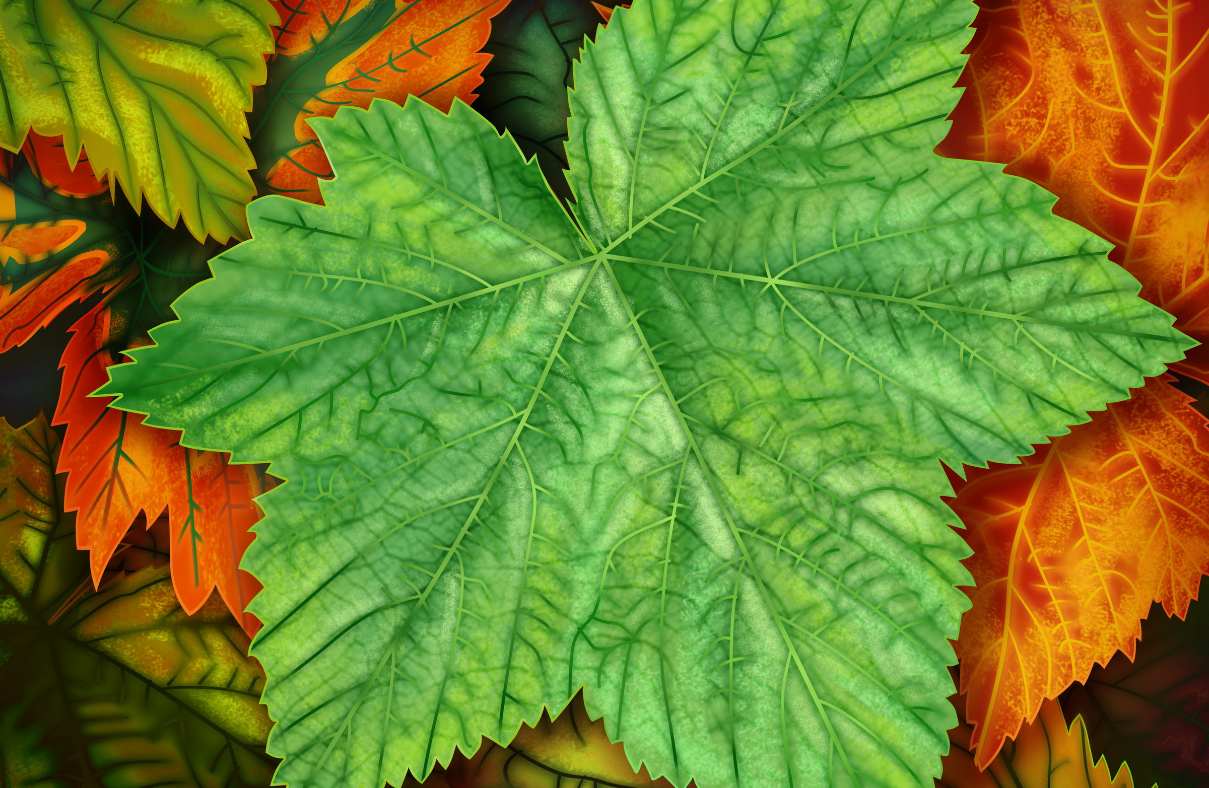 Рисованные обои