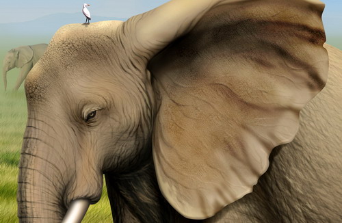 Рисованные обои