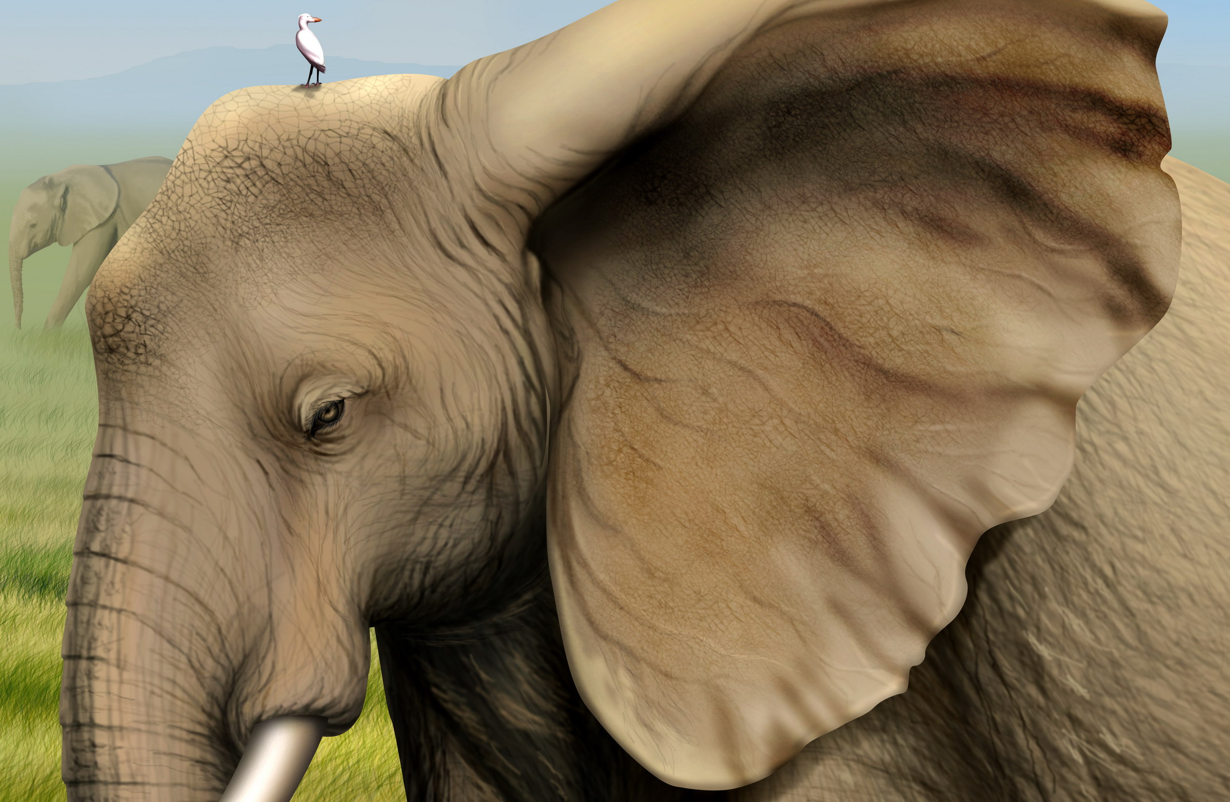 Рисованные обои