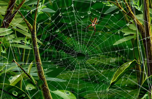 Рисованные обои