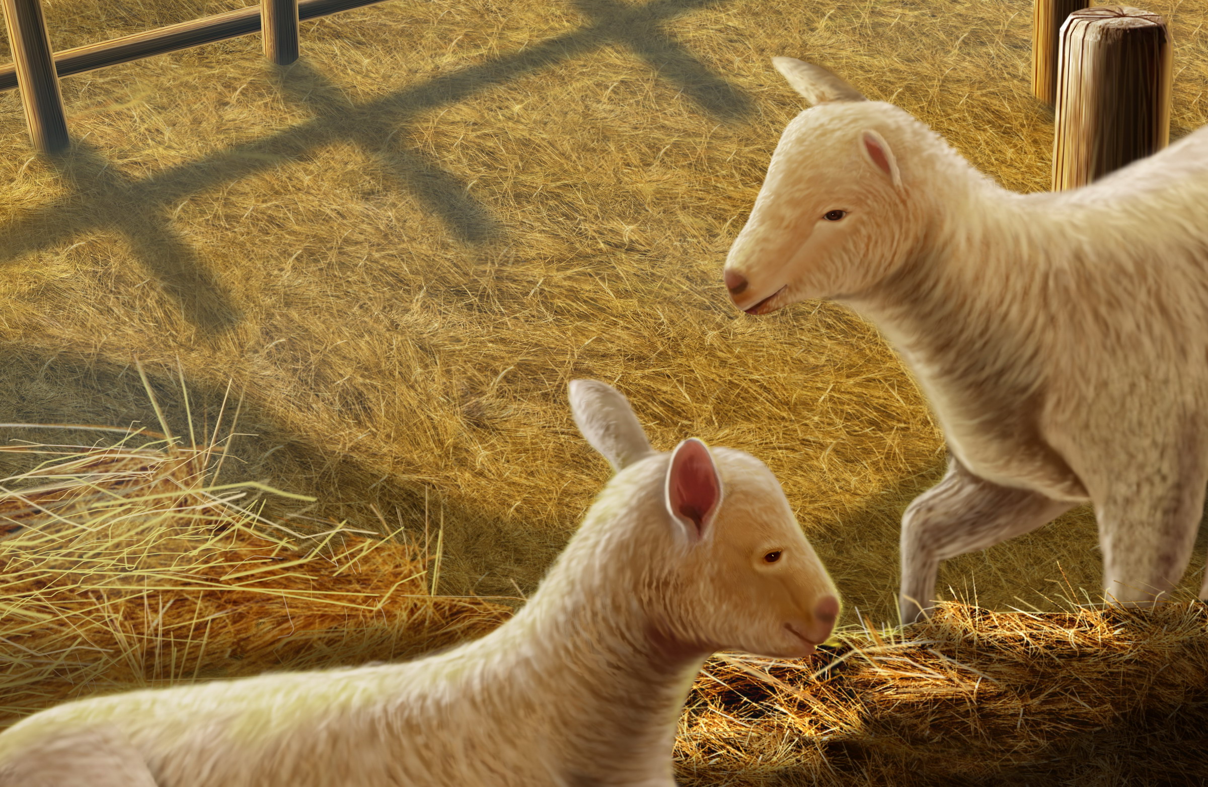 Рисованные обои