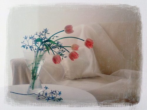 тюльпаны в вазе на фоне белого дивана