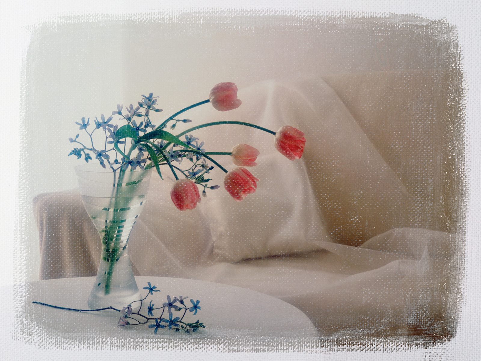 Цветы на 8 марта