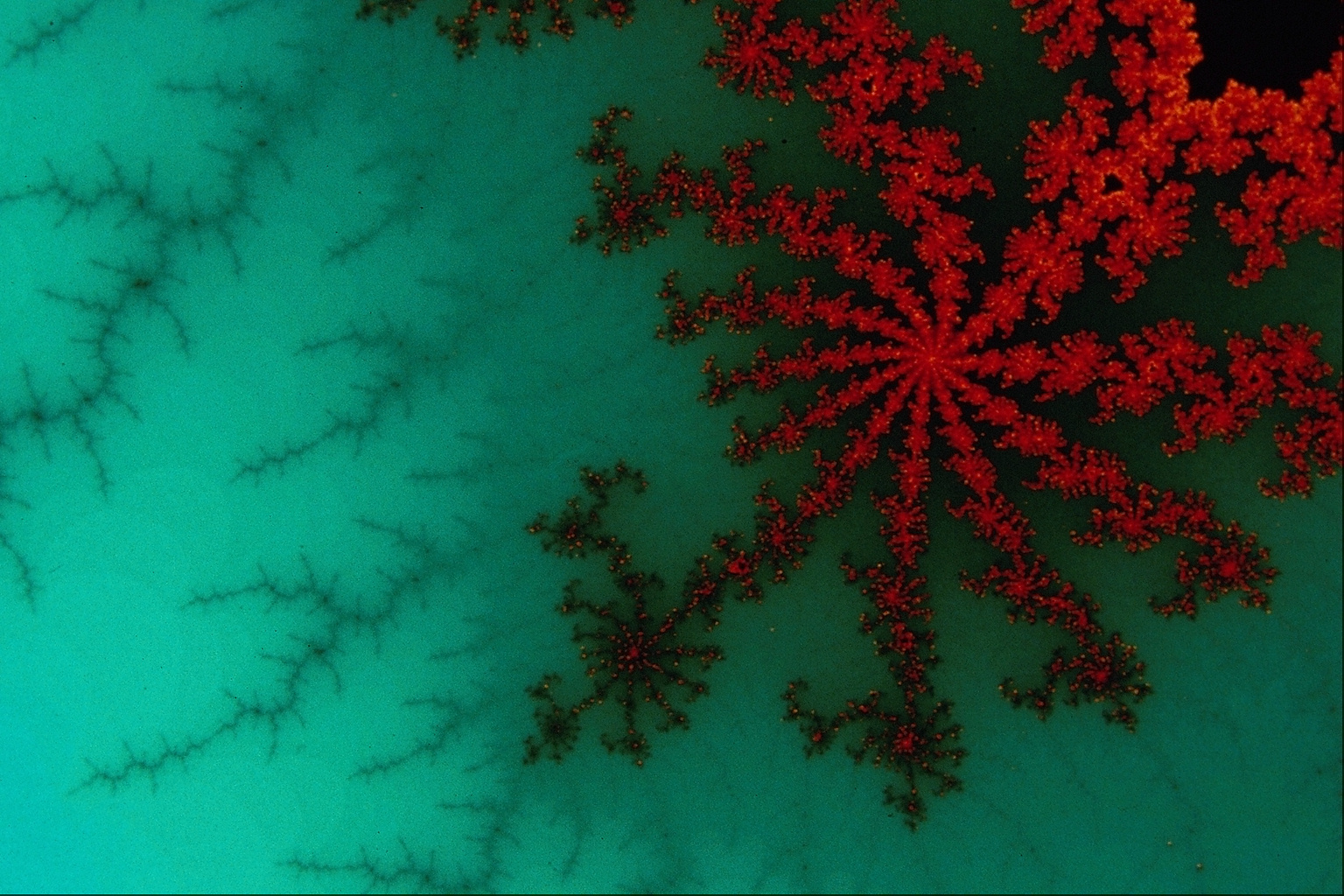 Разноцветные фракталы