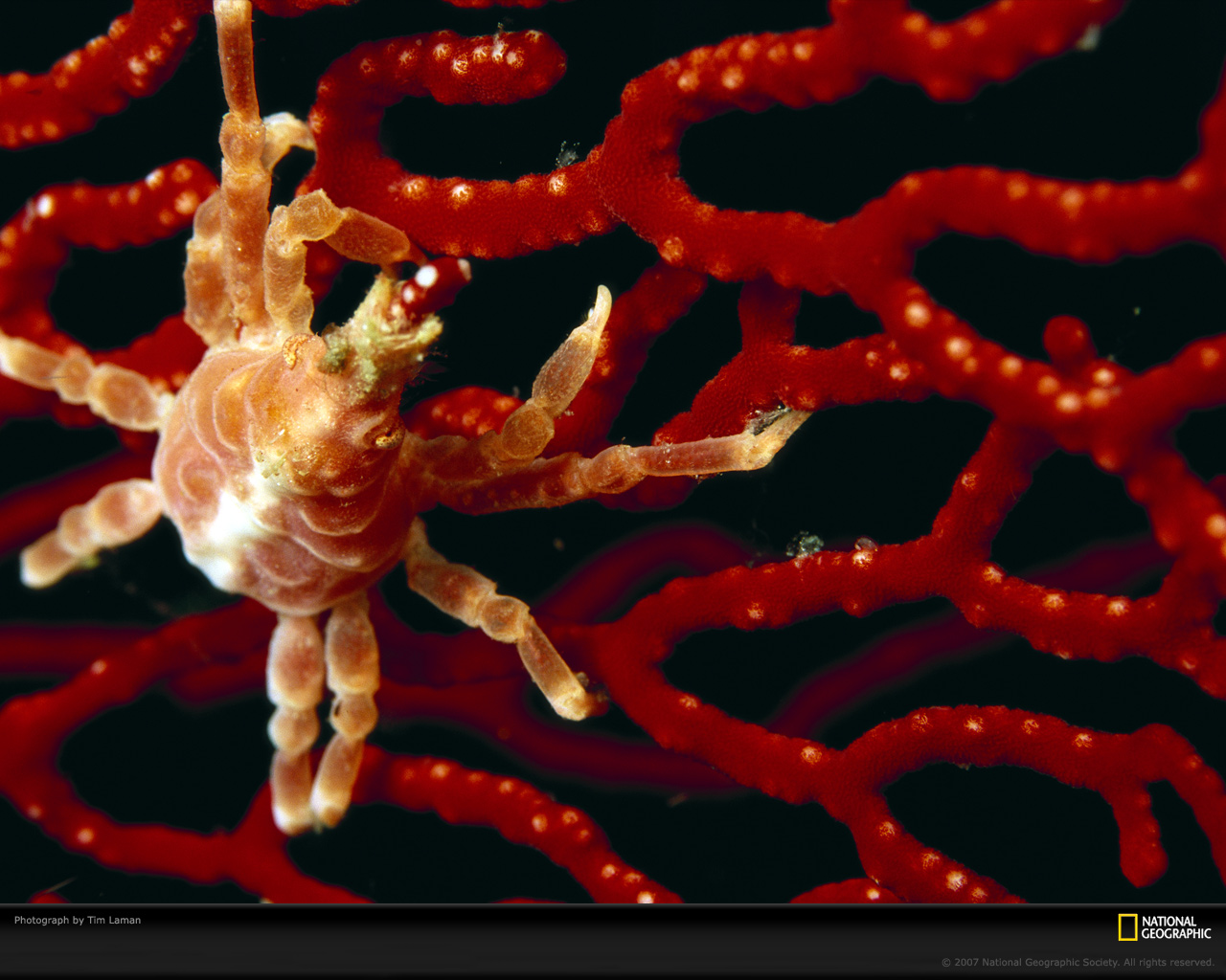 Подводный мир