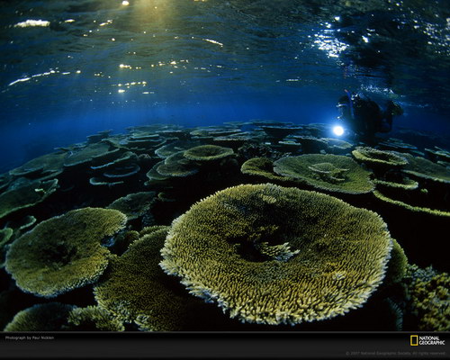 Подводный мир