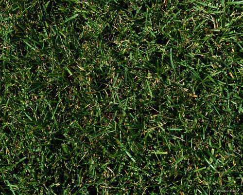 Зеленые обои