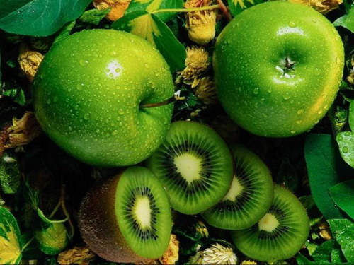 Зеленые обои