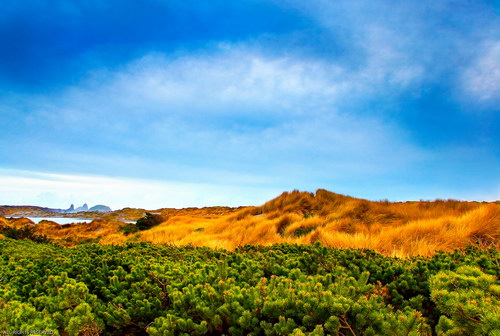 Очень качественные обои