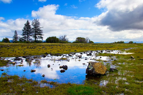 Очень качественные обои