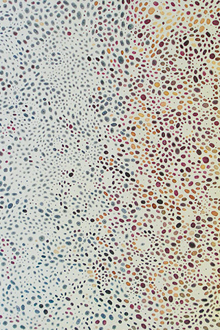 Обои для вашего iPhone - разноцветная мозаика