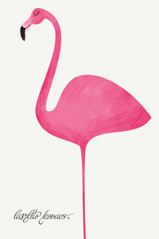 Обои для вашего iPhone - розовый фламинго