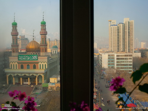 вид на Израиль из окна