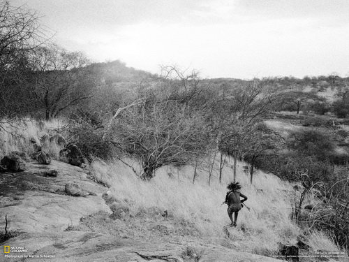 племя в Сафари