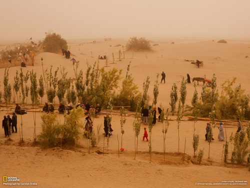 жизнь в пустыне